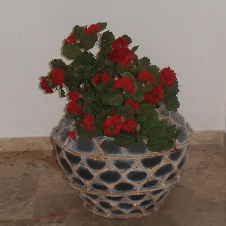 Rum i privatbostad Casa Dani