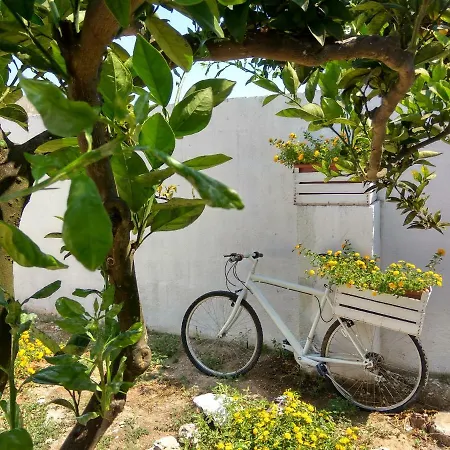 Homestay Casa Dani